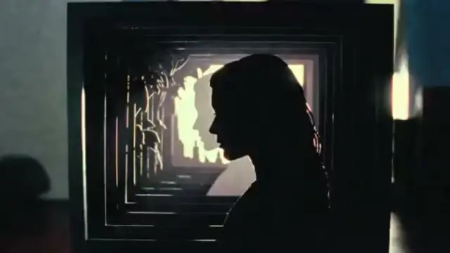 Shadow Box