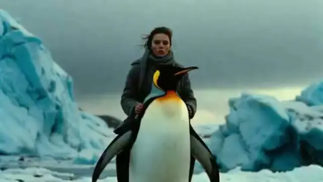 Penguin Ride
