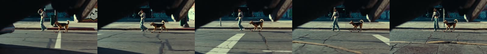 Skatedog frames over time