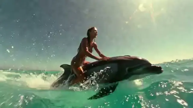 Dolphin Ride