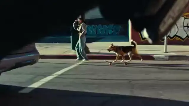 Skatedog